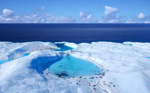 Image of Arctic?