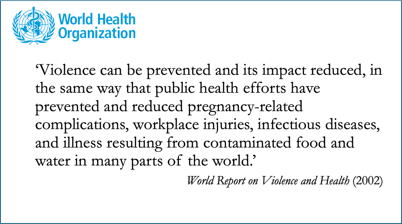 Image and quote from World Report on Violence and health (2002)